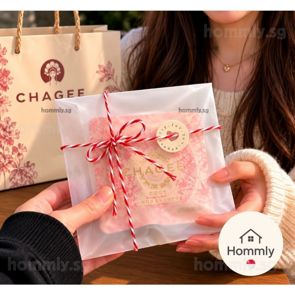 [Hommly SG Instock] CHAGEE Gift Bag Series | Thank You • Especially For You • Farewell Gift ✨