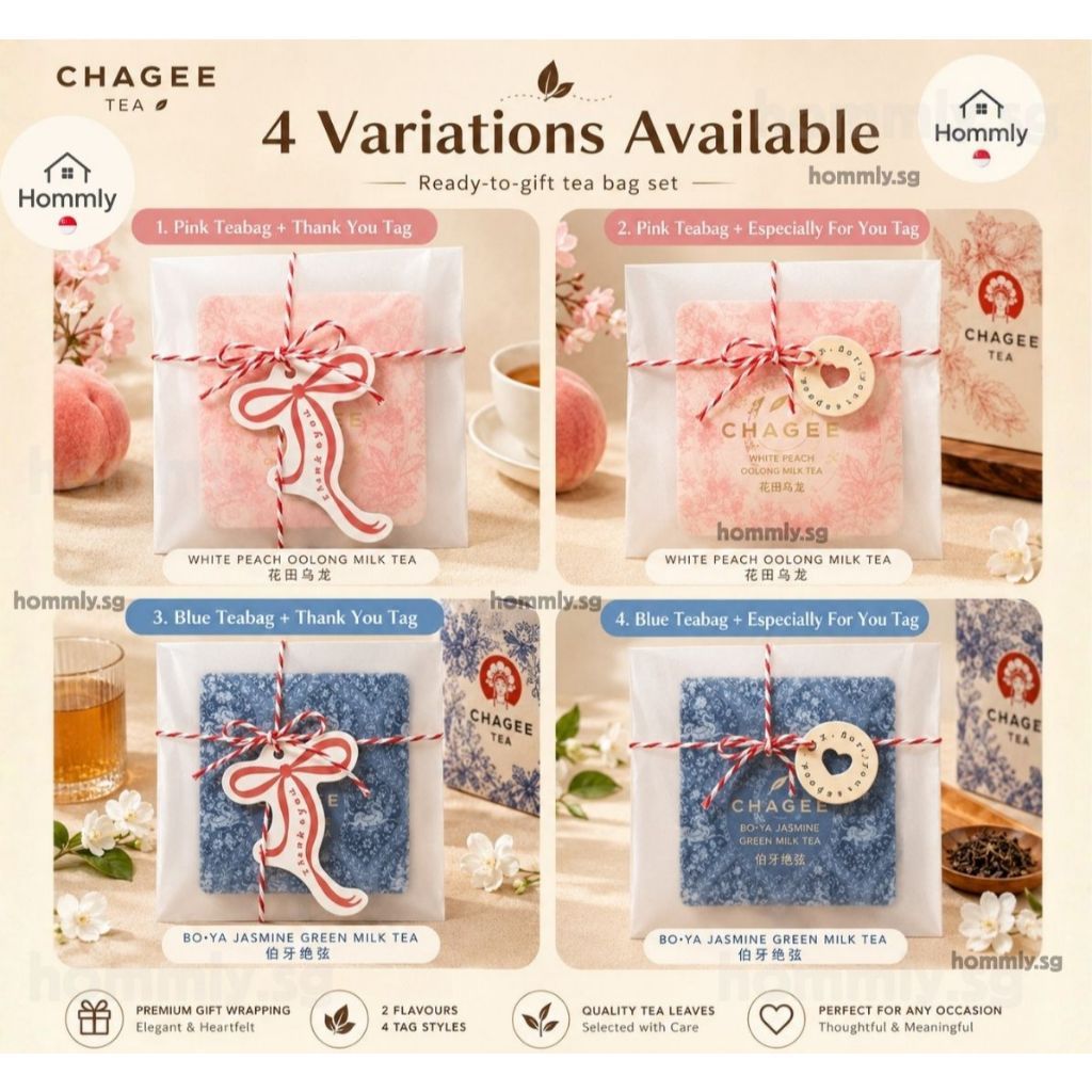 [Hommly SG Instock] CHAGEE Gift Bag Series | Thank You • Especially For You • Farewell Gift ✨
