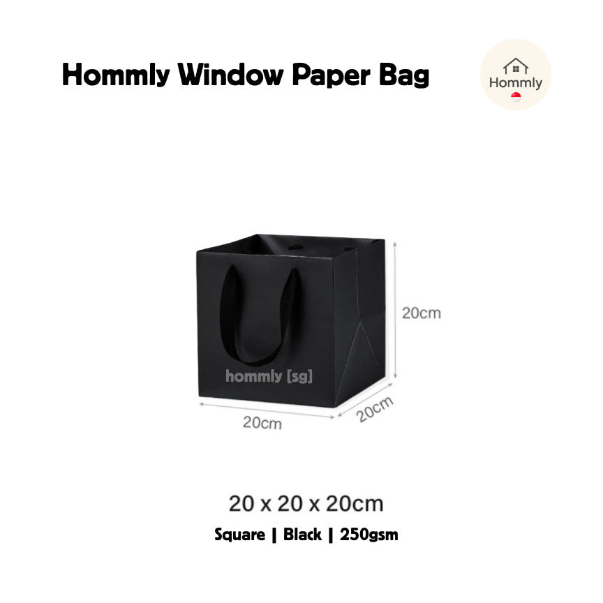 [Hommly SG Instock] Square Colour Paper Bag Cake carrier Gift bag Kraft Paper Bags Gift Bags Xmas Christmas Dessert bag