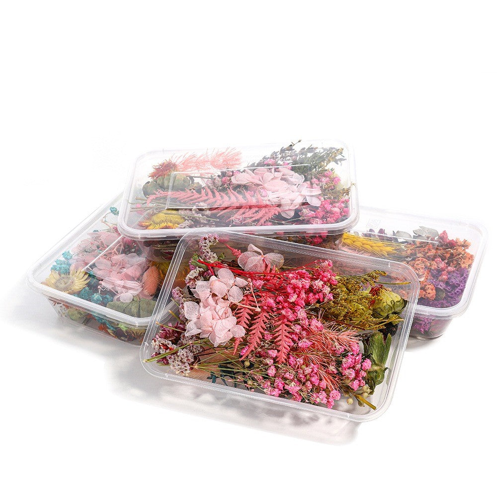 [Hommly SG Instock] Dried Pressed Flowers Bulk | Natural Wildflowers for DIY Craft, Resin Art & Decoration