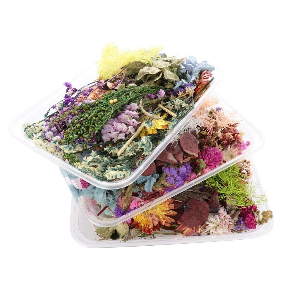 [Hommly SG Instock] Dried Pressed Flowers Bulk | Natural Wildflowers for DIY Craft, Resin Art & Decoration