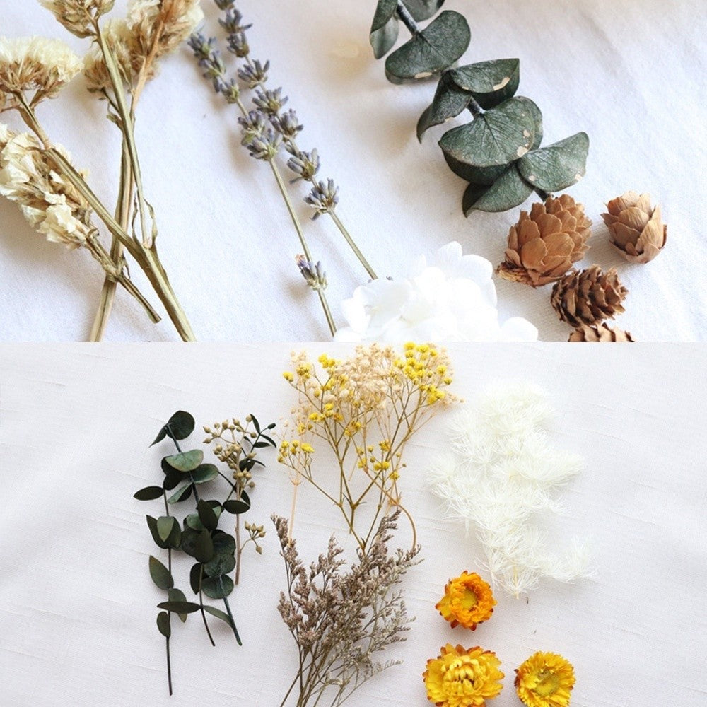 [Hommly SG Instock] Dried Pressed Flowers Bulk | Natural Wildflowers for DIY Craft, Resin Art & Decoration