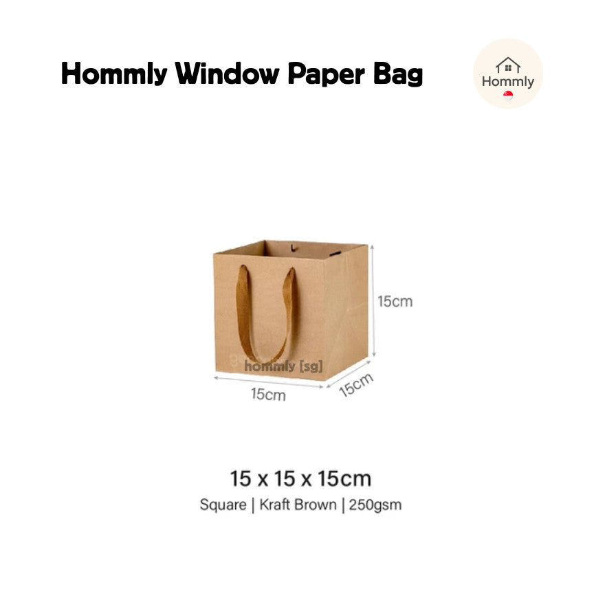 [Hommly SG Instock] Square Colour Paper Bag Cake carrier Gift bag Kraft Paper Bags Gift Bags Xmas Christmas Dessert bag