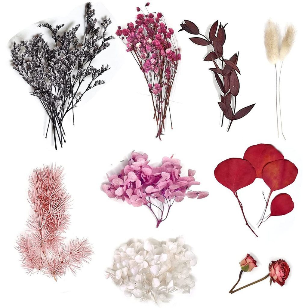 [Hommly SG Instock] Dried Pressed Flowers Bulk | Natural Wildflowers for DIY Craft, Resin Art & Decoration