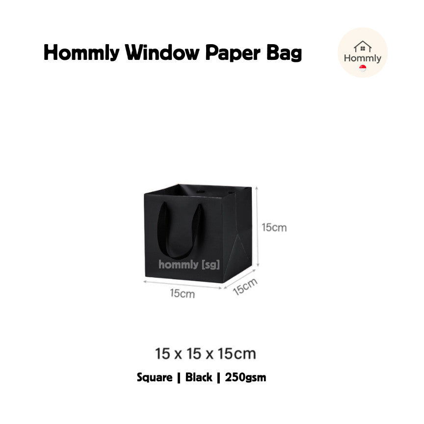 [Hommly SG Instock] Square Colour Paper Bag Cake carrier Gift bag Kraft Paper Bags Gift Bags Xmas Christmas Dessert bag