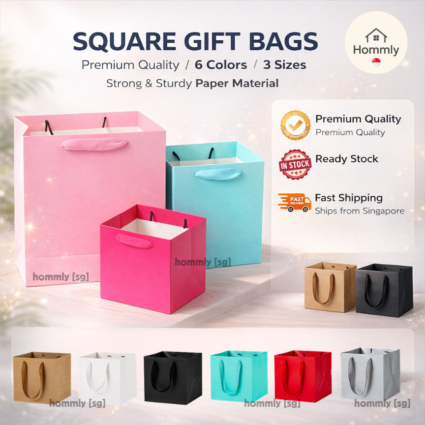 [Hommly SG Instock] Square Colour Paper Bag Cake carrier Gift bag Kraft Paper Bags Gift Bags Xmas Christmas Dessert bag