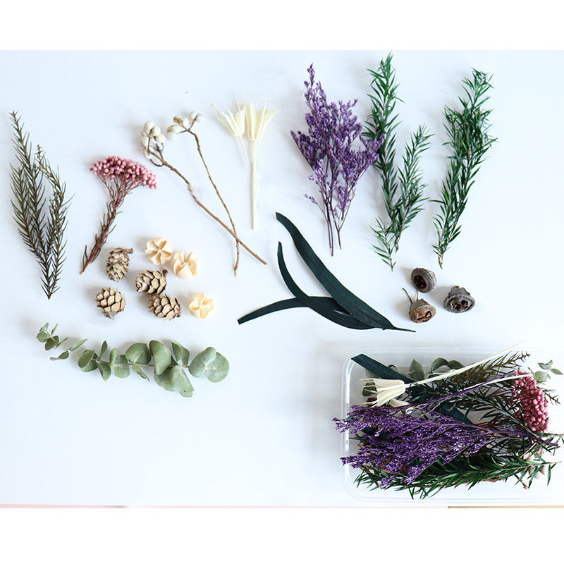 [Hommly SG Instock] Dried Pressed Flowers Bulk | Natural Wildflowers for DIY Craft, Resin Art & Decoration