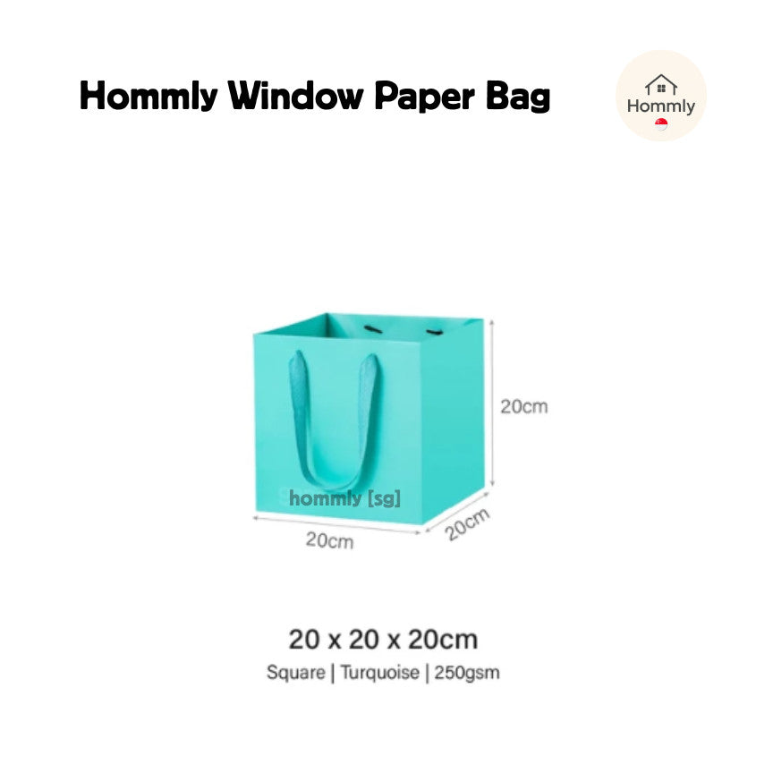 [Hommly SG Instock] Square Colour Paper Bag Cake carrier Gift bag Kraft Paper Bags Gift Bags Xmas Christmas Dessert bag