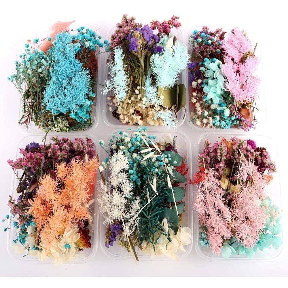 [Hommly SG Instock] Dried Pressed Flowers Bulk | Natural Wildflowers for DIY Craft, Resin Art & Decoration