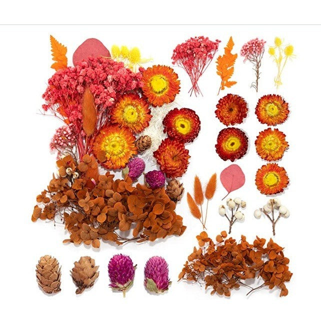 [Hommly SG Instock] Dried Pressed Flowers Bulk | Natural Wildflowers for DIY Craft, Resin Art & Decoration