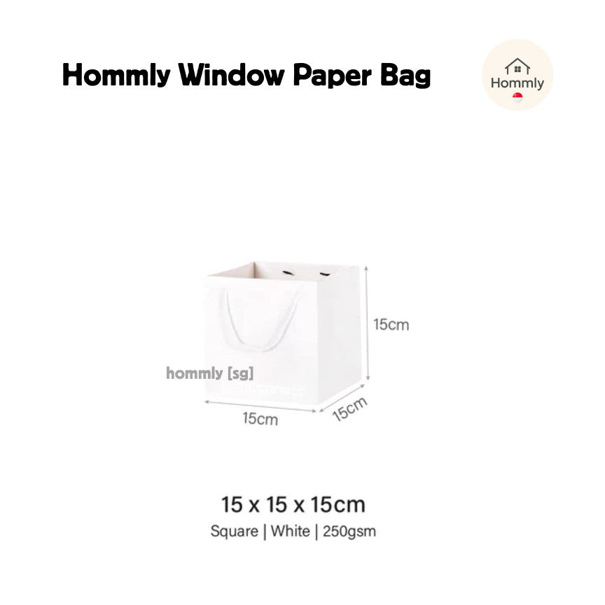 [Hommly SG Instock] Square Colour Paper Bag Cake carrier Gift bag Kraft Paper Bags Gift Bags Xmas Christmas Dessert bag