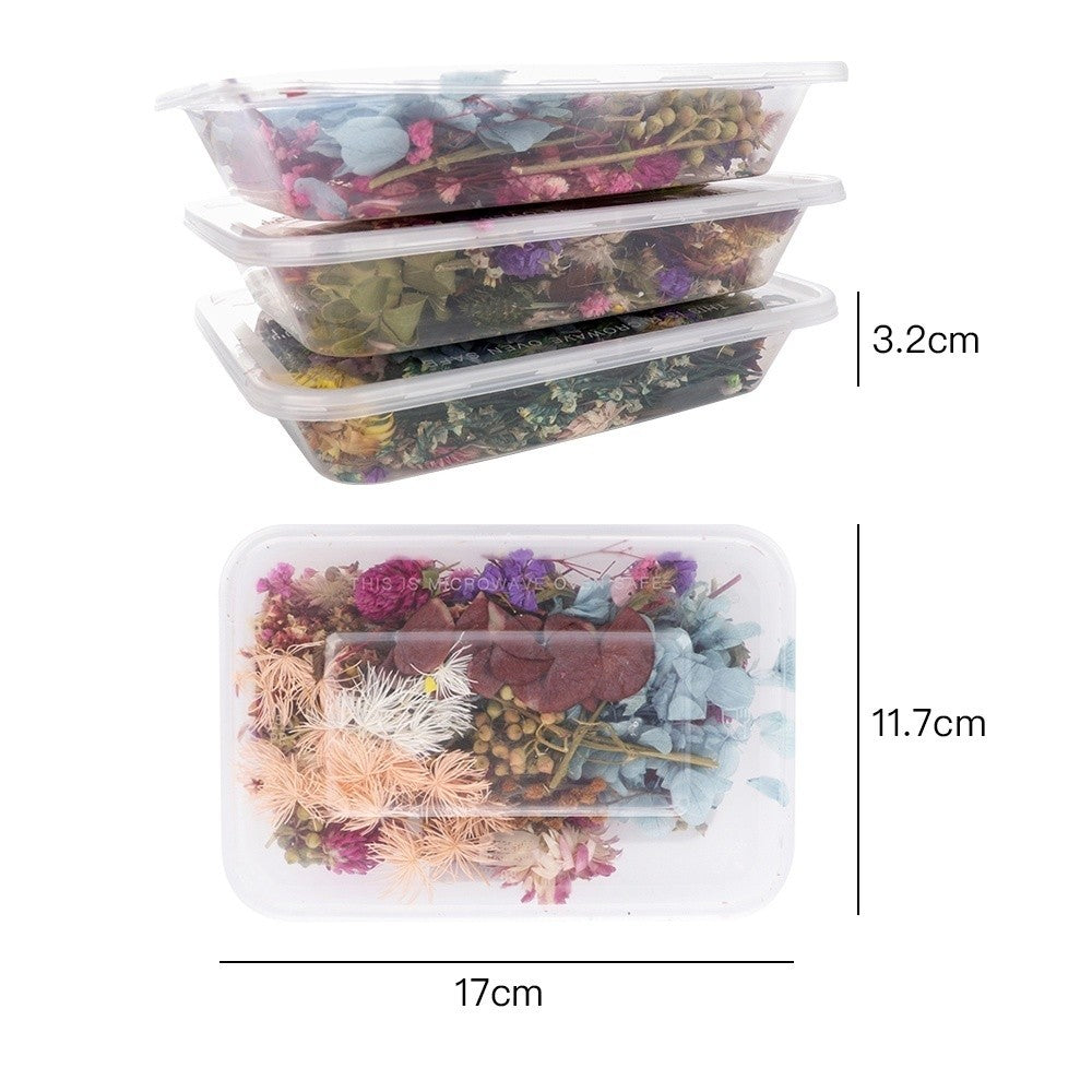 [Hommly SG Instock] Dried Pressed Flowers Bulk | Natural Wildflowers for DIY Craft, Resin Art & Decoration
